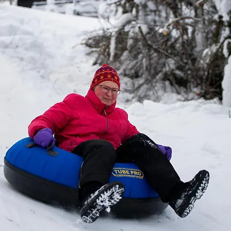 Ξενοδοχείο με διαμερίσματα Arctic Giant Paltamo