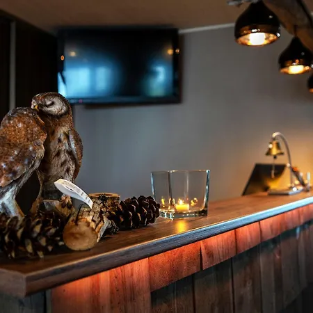 Arctic Giant Ξενοδοχείο με διαμερίσματα Paltamo