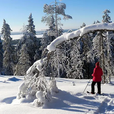 Arctic Giant 4* Paltamo