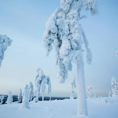 Arctic Giant Aparthotel
