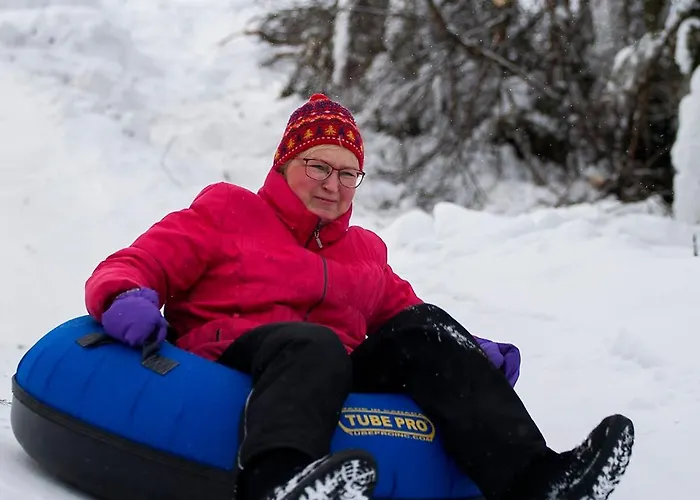 Hotel apartamentowy Arctic Giant Paltamo