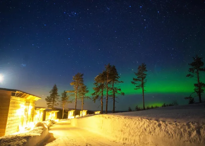 Arctic Giant Paltamo