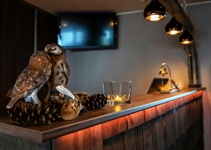 Arctic Giant Hotel apartamentowy Paltamo