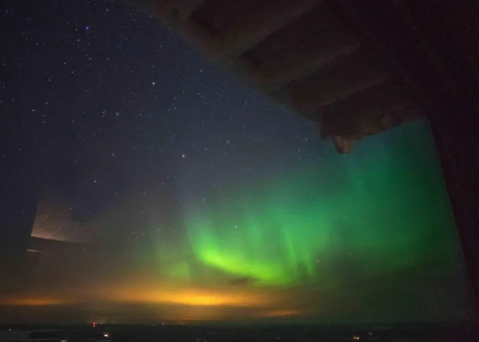 Arctic Giant Paltamo