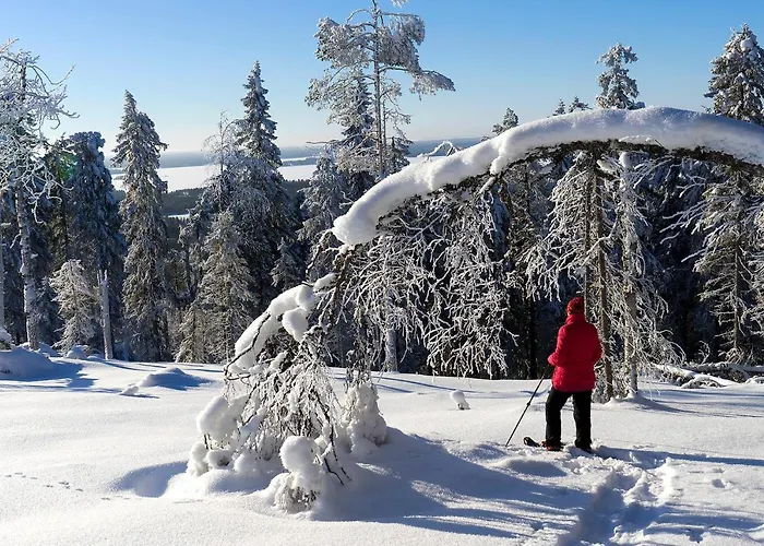 Arctic Giant 4* Paltamo