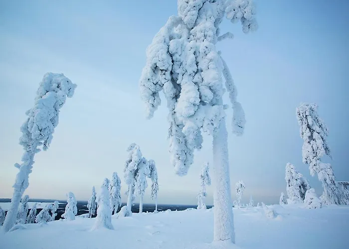 Arctic Giant Ξενοδοχείο με διαμερίσματα