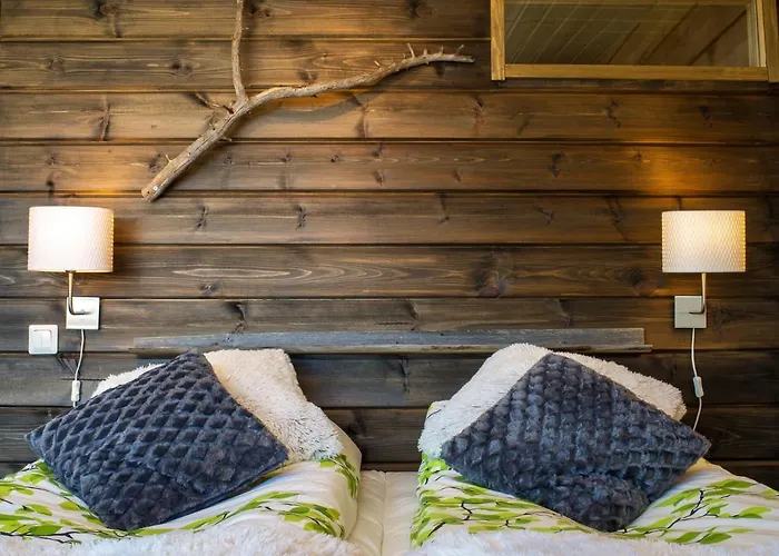 Hotel apartamentowy Arctic Giant Paltamo